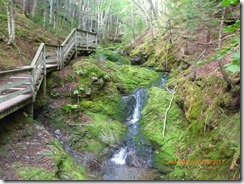 Fundy NP walk