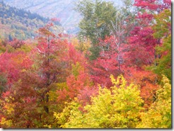 White Mtns NH Oct.7